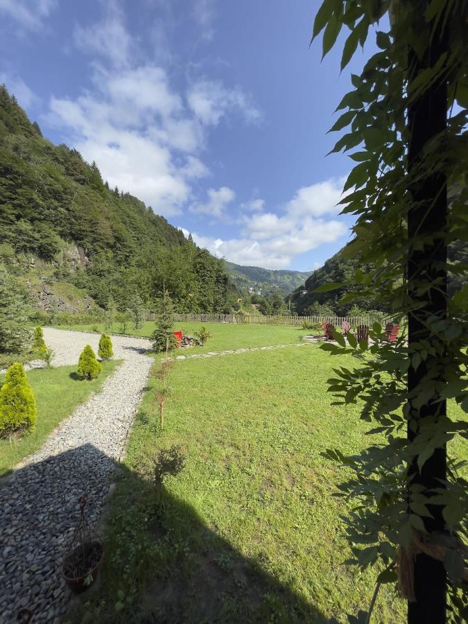Dream River Exclusive Bungalow Rize Extérieur photo