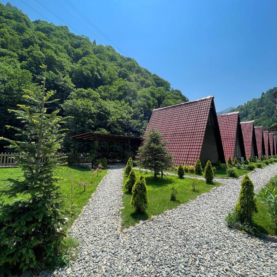 Dream River Exclusive Bungalow Rize Extérieur photo