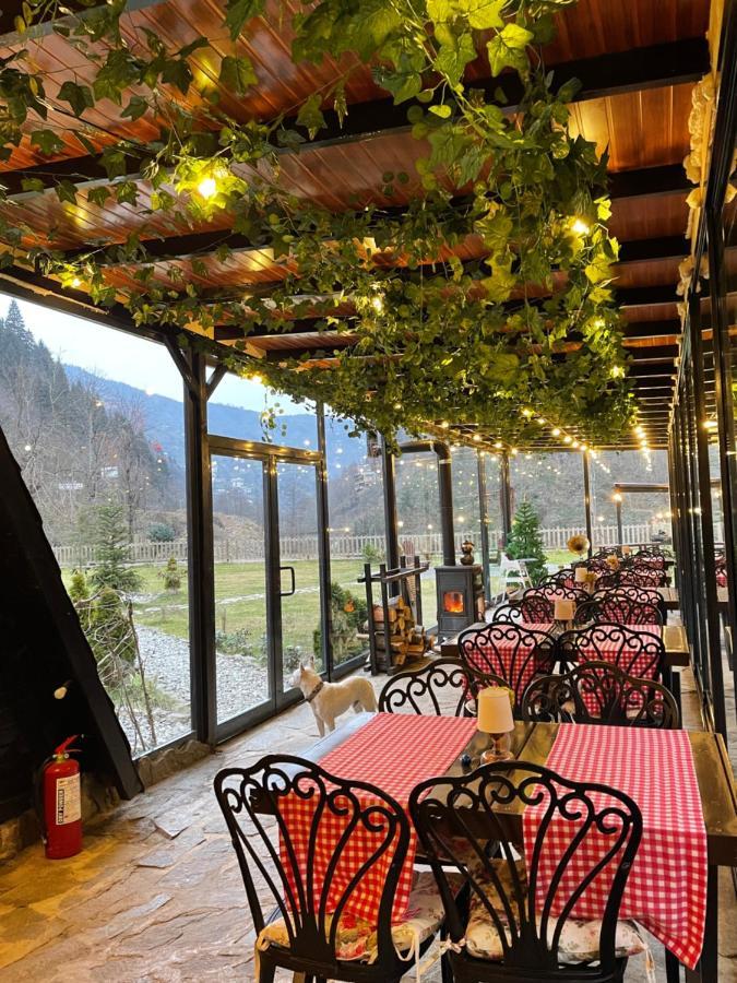 Dream River Exclusive Bungalow Rize Extérieur photo