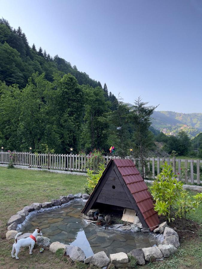 Dream River Exclusive Bungalow Rize Extérieur photo