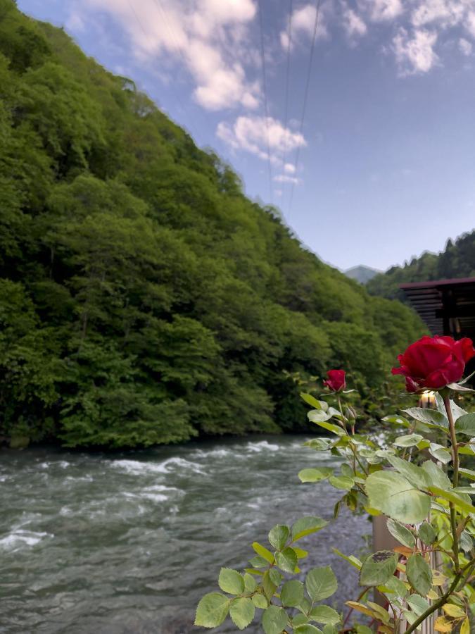 Dream River Exclusive Bungalow Rize Extérieur photo